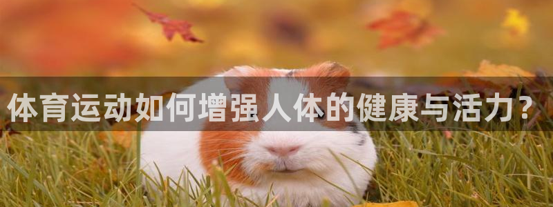 7m体育足球比分：体育运动如何增强人体的健康与活力？