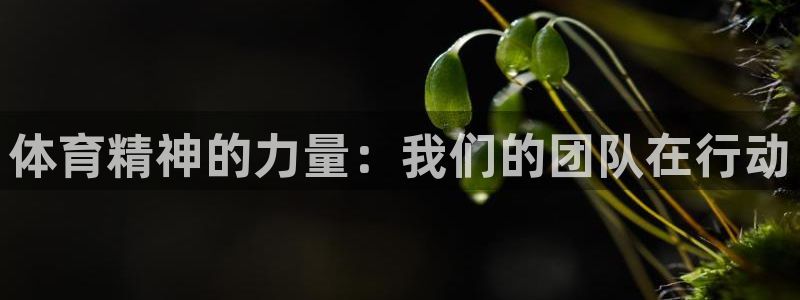 7m体育比分