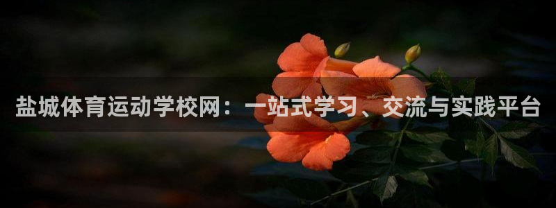 7m体育足球官网：盐城体育运动学校网：一站式学习、交流与实践平台